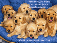 /album/gyik-cheek/mi-a-baratsag-792981-50344-gif/