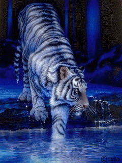 Volt egy rémálmom azóta félek a fehértigristől,de attól még gyönyörű :) <3